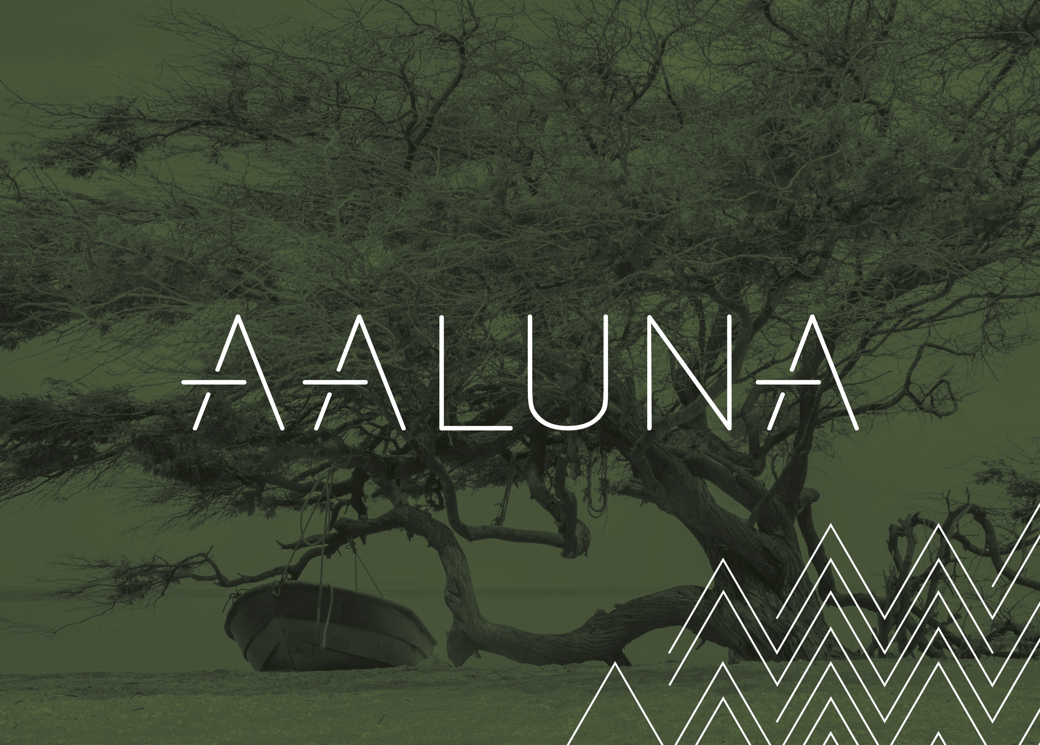 AALUNA