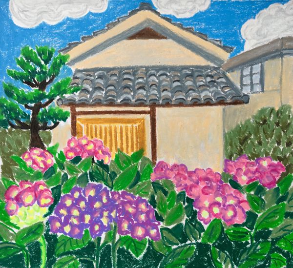 Hydrangea season in Tokyo
